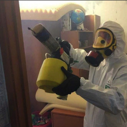 Уничтожение клопов в квартире. Ершов